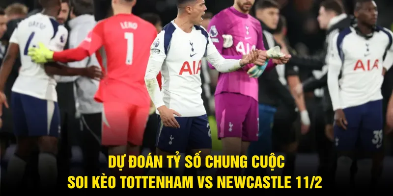 Dự đoán tỷ số chung cuộc soi kèo Tottenham vs Newcastle 11/2 Dự đoán tỷ số chung cuộc soi kèo Tottenham vs Newcastle 11/2 