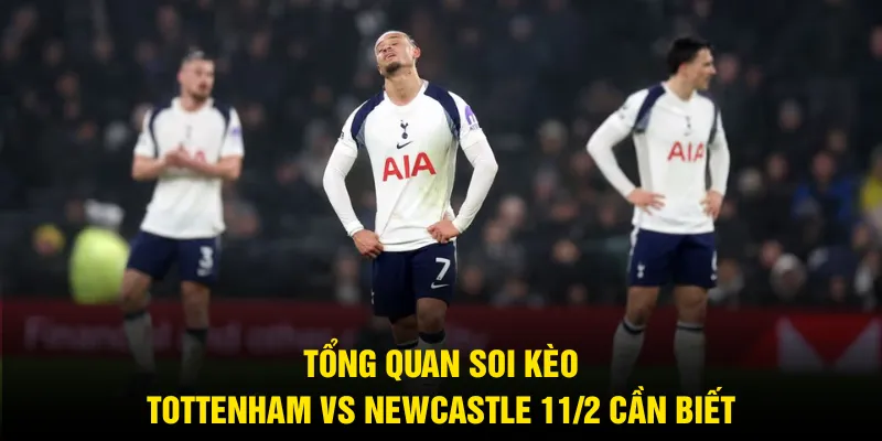 Tổng quan soi kèo Tottenham vs Newcastle 11/2 cần biết